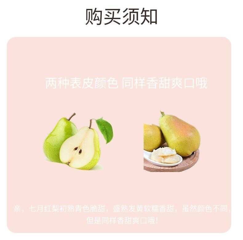 【产地直发】红香酥梨新鲜水果当季现摘现发香梨薄皮青皮批发脆甜