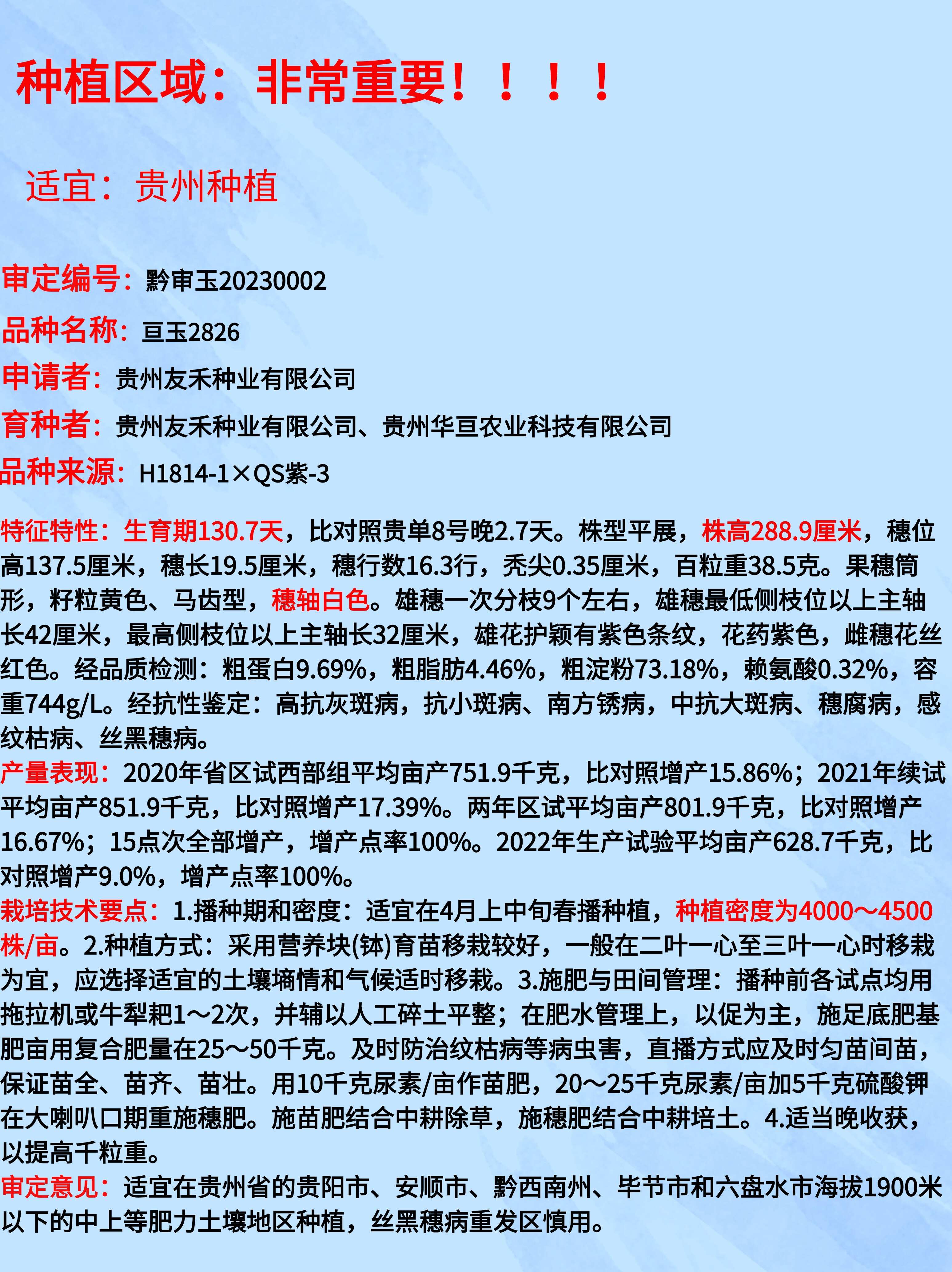 亘玉2826中高海拔玉米种子厂家直销