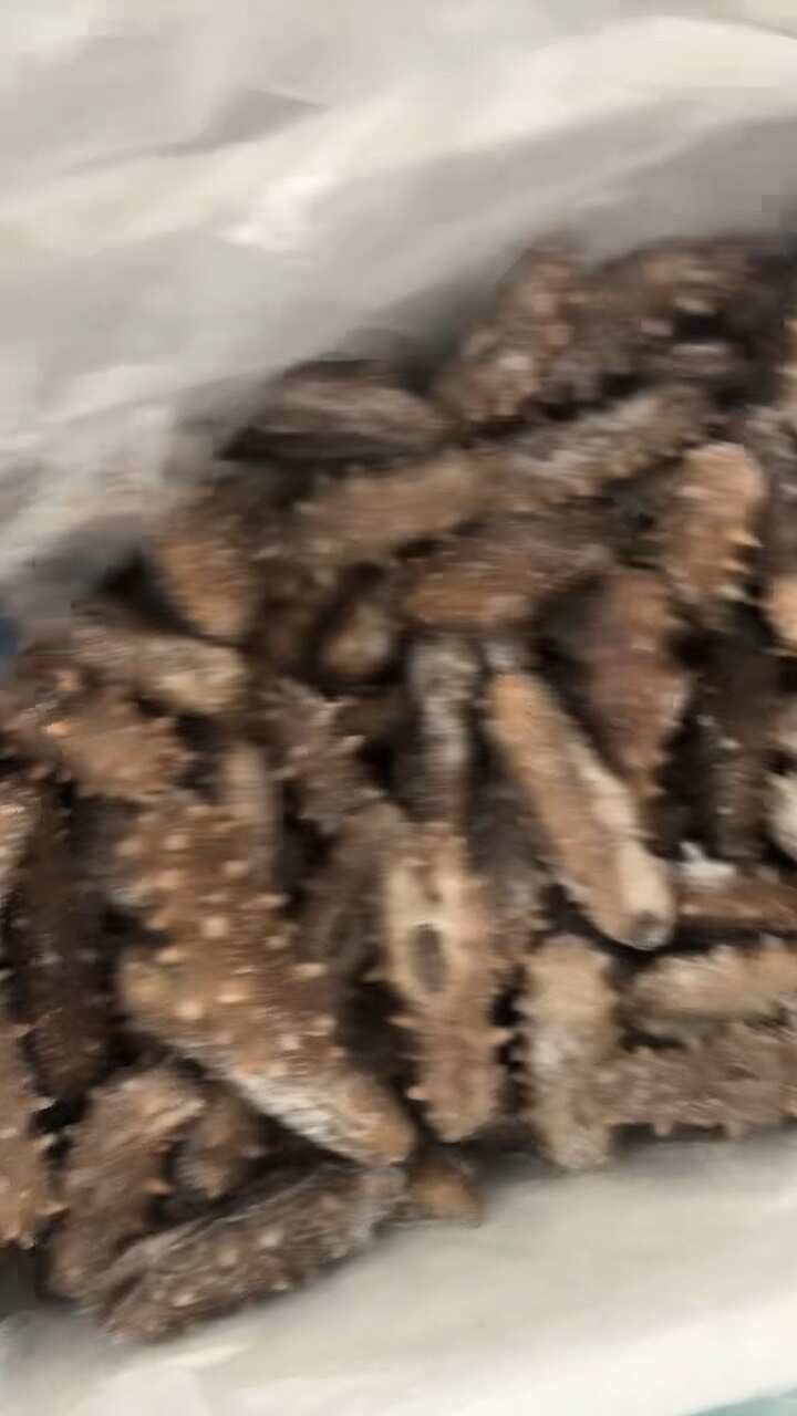 即食海参厂家直销各种规格辽参开袋即食送礼家用贩卖都合适推荐