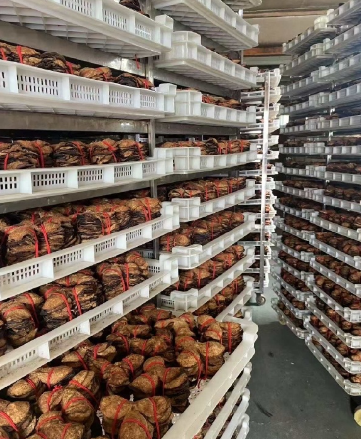 扎把老陈皮新会陈皮陈皮干12年新会陈皮茶批发三宝扎红绳