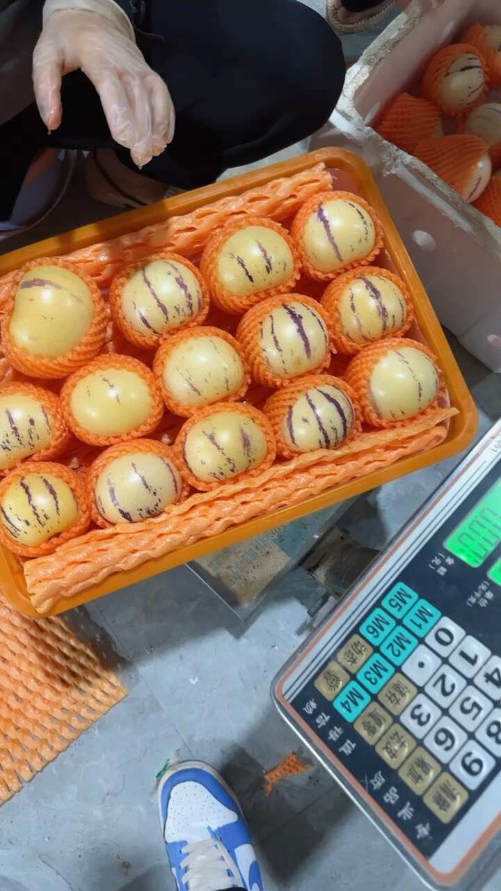 云南人参果 纯熟上熟网套果