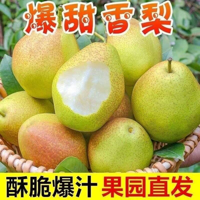 【产地直发】红香酥梨新鲜水果当季现摘现发香梨薄皮青皮批发脆甜