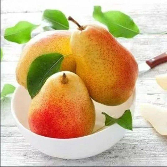 【产地直发】红香酥梨新鲜水果当季现摘现发香梨薄皮青皮批发脆甜
