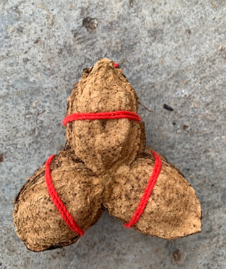 扎把老陈皮新会陈皮陈皮干12年新会陈皮茶批发三宝扎红绳