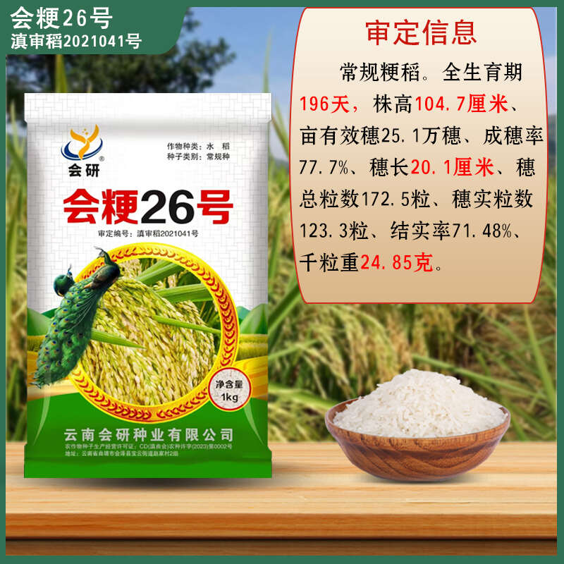 会粳26号常规稻中高海拔水稻种子