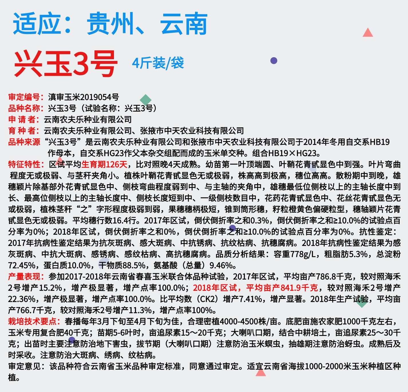 兴玉3号云贵川中高海拔品质型玉米种子