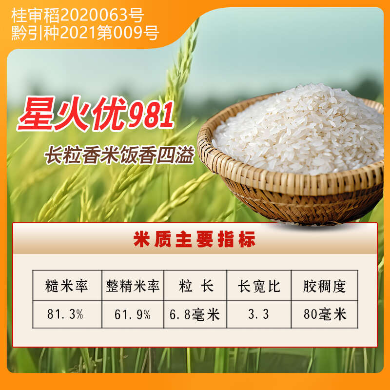 星火优981国标二级长粒水稻种子