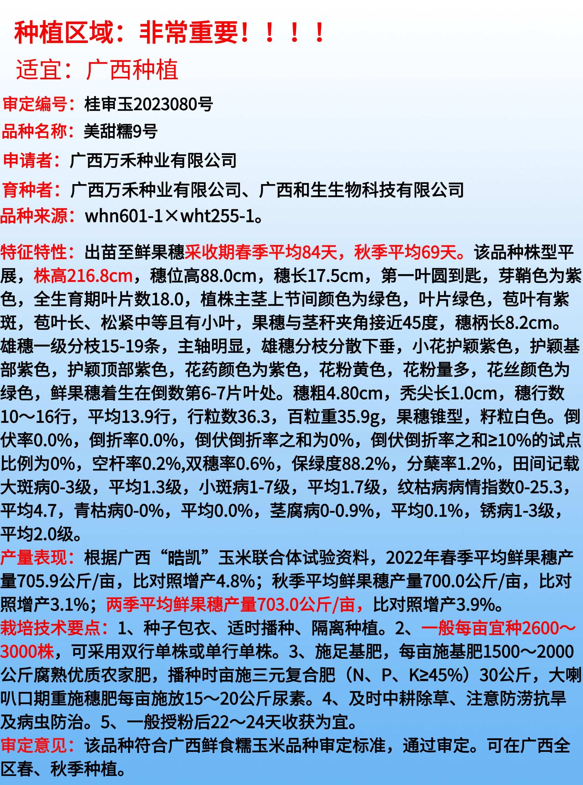 美甜糯9号甜软糯杂交玉米种子