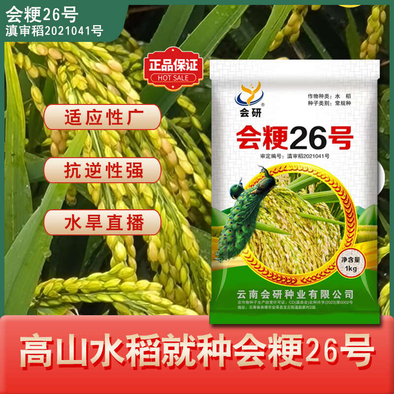 会粳26号常规稻中高海拔水稻种子