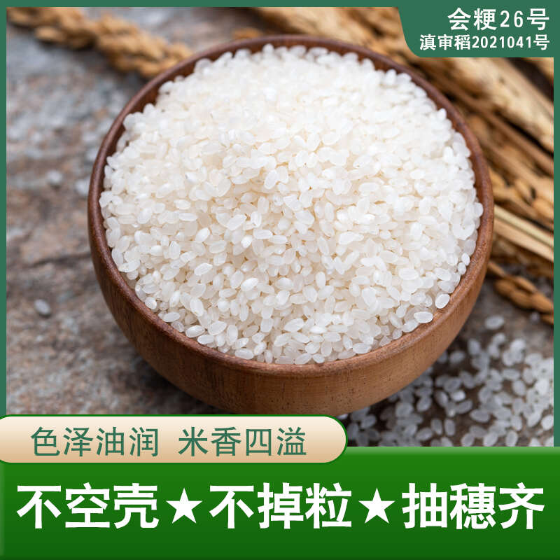 会粳26号常规稻中高海拔水稻种子