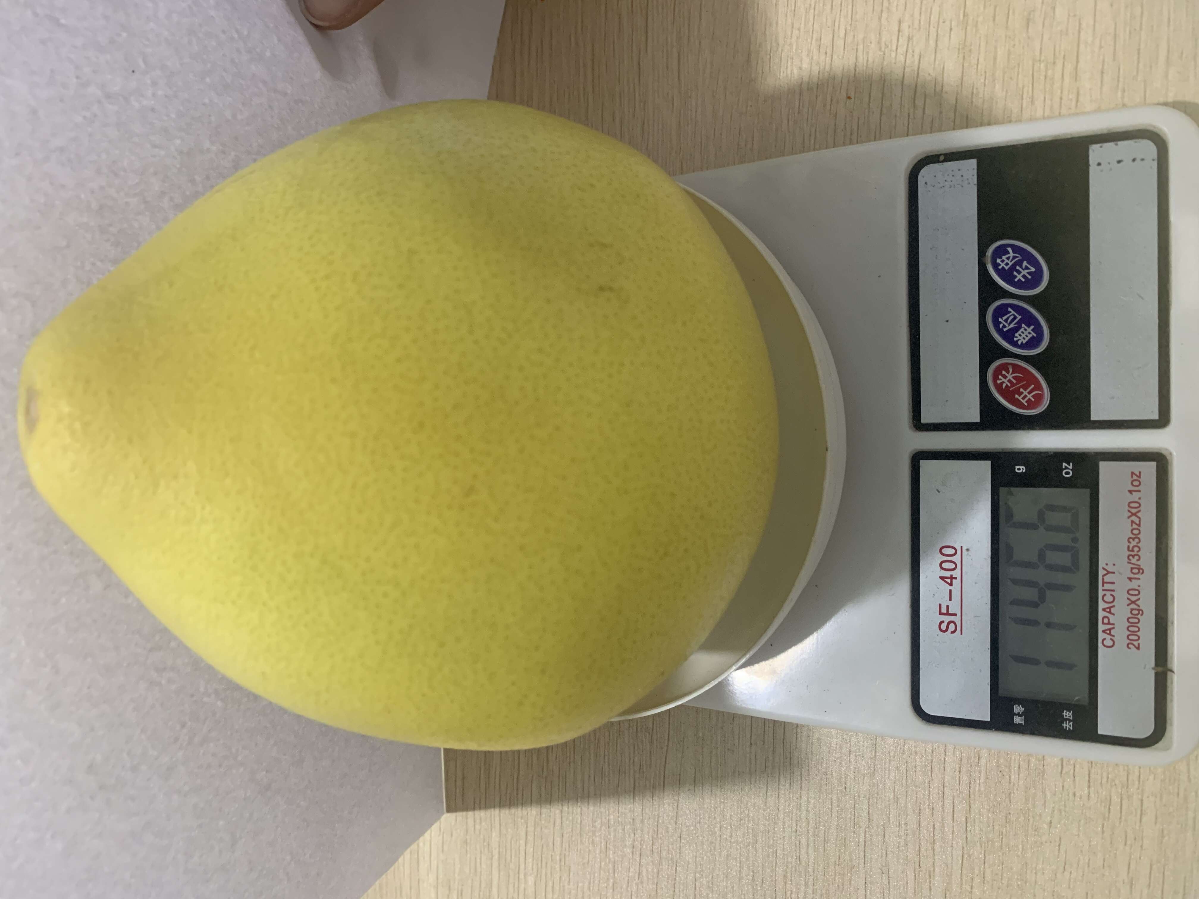 福建三红柚红心柚果肉饱满出肉率高统货3斤装批发代发
