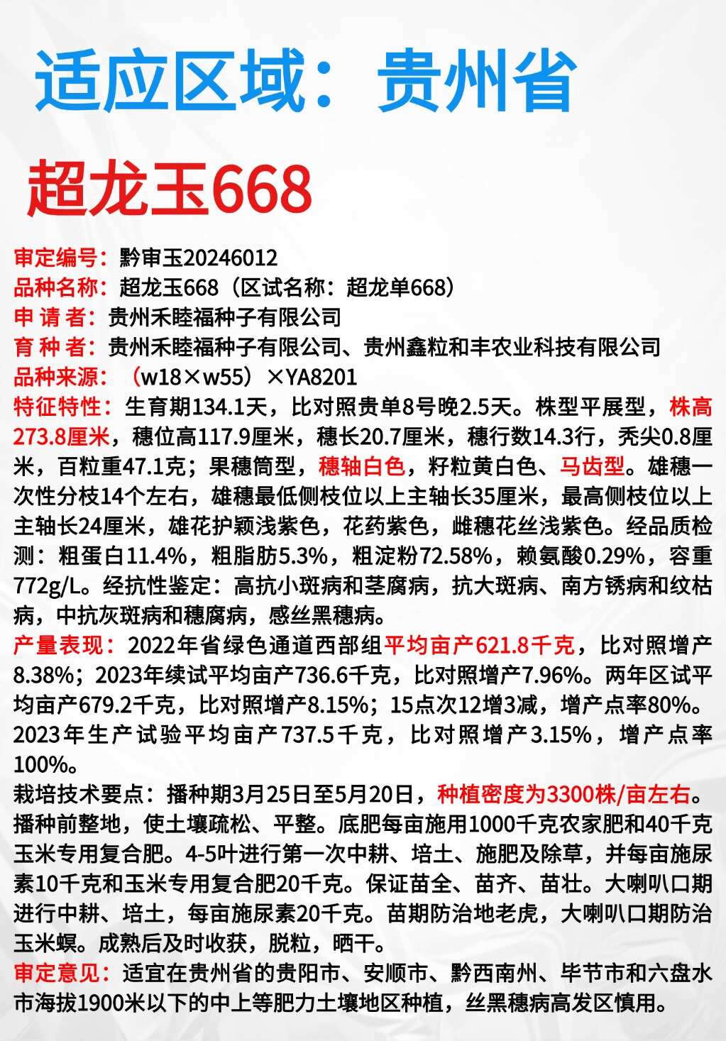 超龙玉668黄白粒玉米种子