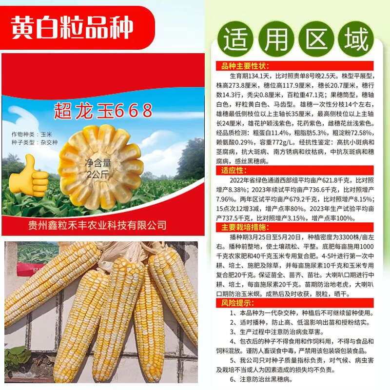 超龙玉668黄白粒玉米种子