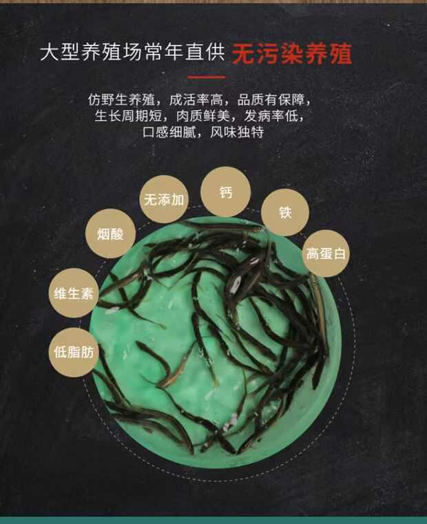 养殖户选择泥鳅苗人工养殖龙鱼饲料鱼饵鱼食大型淡水食用