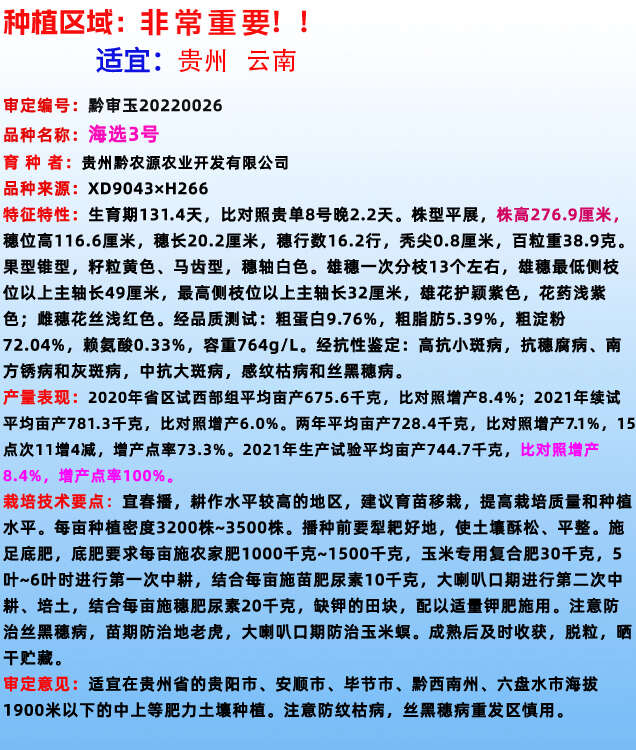 正品贵州中高海拔大棒玉米种子海选3号