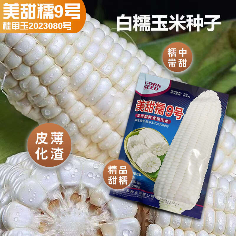 美甜糯9号甜软糯杂交玉米种子