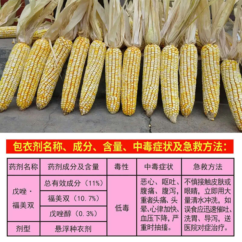 超龙玉668黄白粒玉米种子