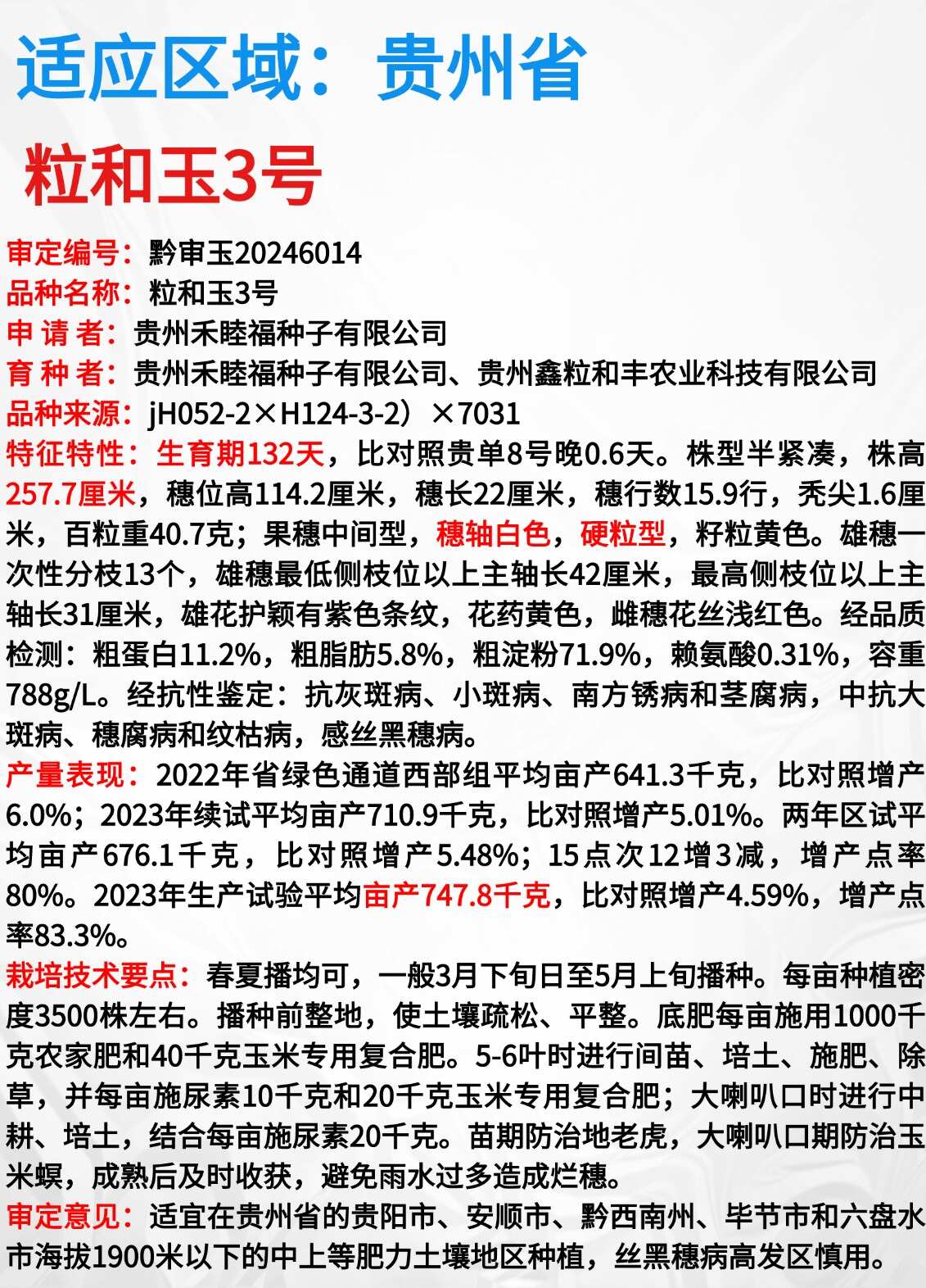 粒和玉3号硬粒型玉米种子