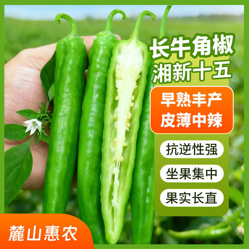 【官方自营】湘妹子湘新十五辣椒种子皮薄中辣