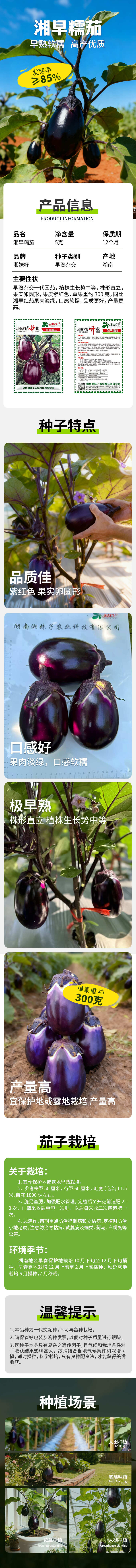 【官方自营】湘早糯茄子种子早熟软糯口感好皮紫红肉淡绿
