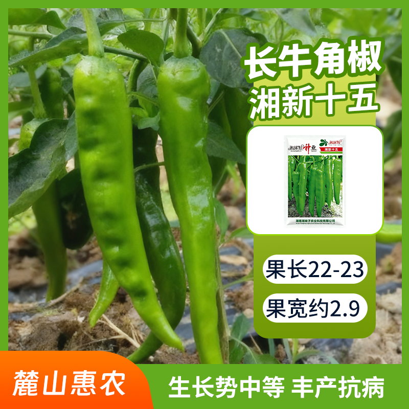 【官方自营】湘妹子湘新十五辣椒种子皮薄中辣