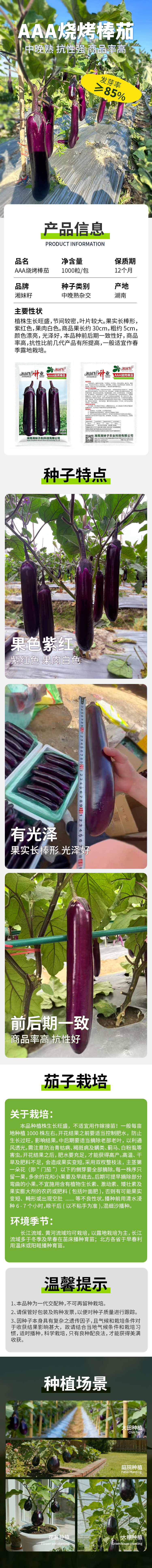 【官方自营】烧烤棒茄子种子紫皮白肉中晚熟商品率好