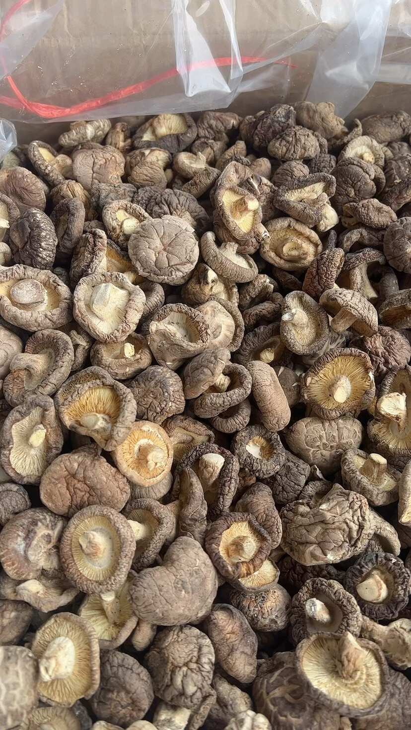 香菇 地摊电商批发香菇干冬菇花菇香菇干货批发
