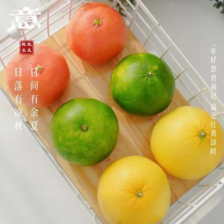 三色葡萄柚 （黄金葡萄柚/翡翠葡萄柚/西柚）