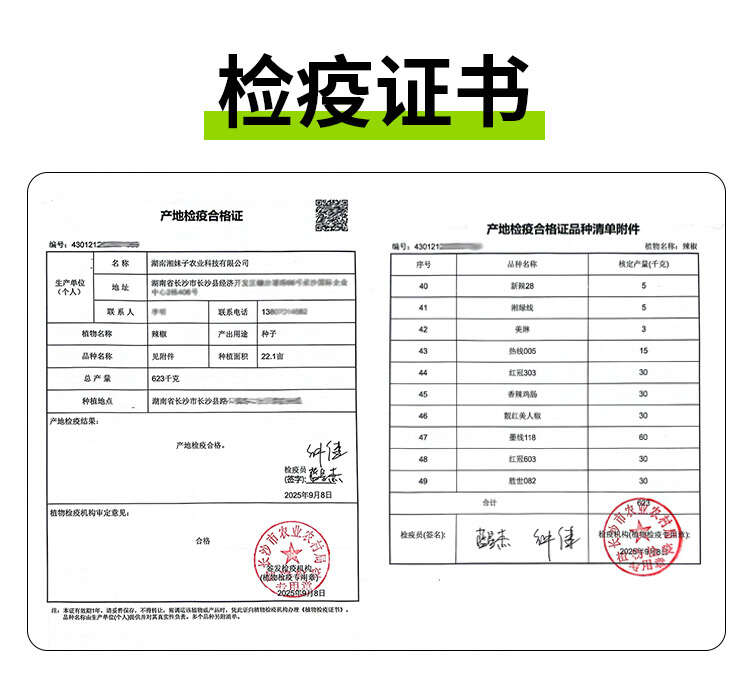 【官方自营】湘早糯茄子种子早熟软糯口感好皮紫红肉淡绿