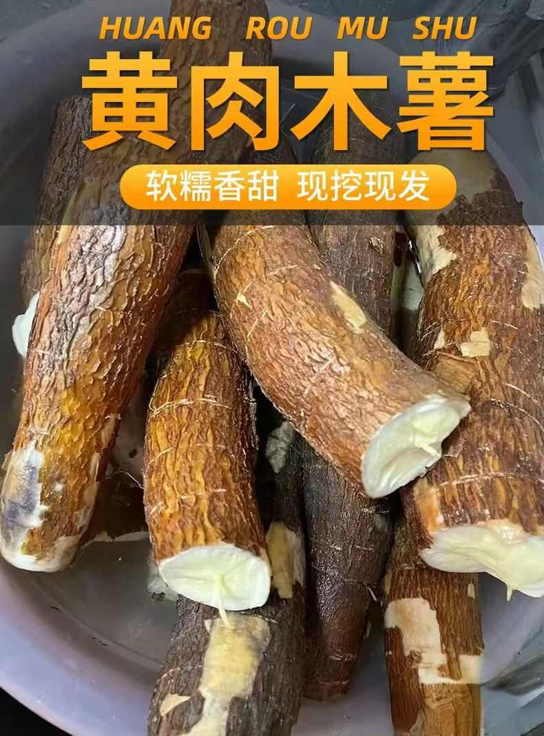 广西黄心木薯新鲜经济糖水木薯产地直供批发包邮5斤整箱贸易批發