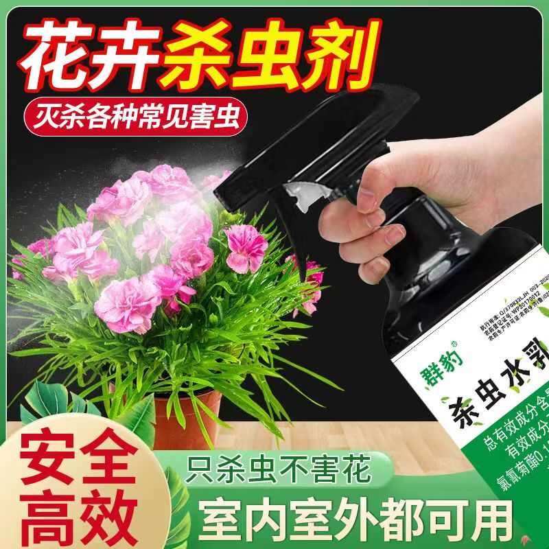 灭蚂蚁花卉杀虫剂绿植通用杀虫药多肉月季兰花花盆杀虫剂驱虫