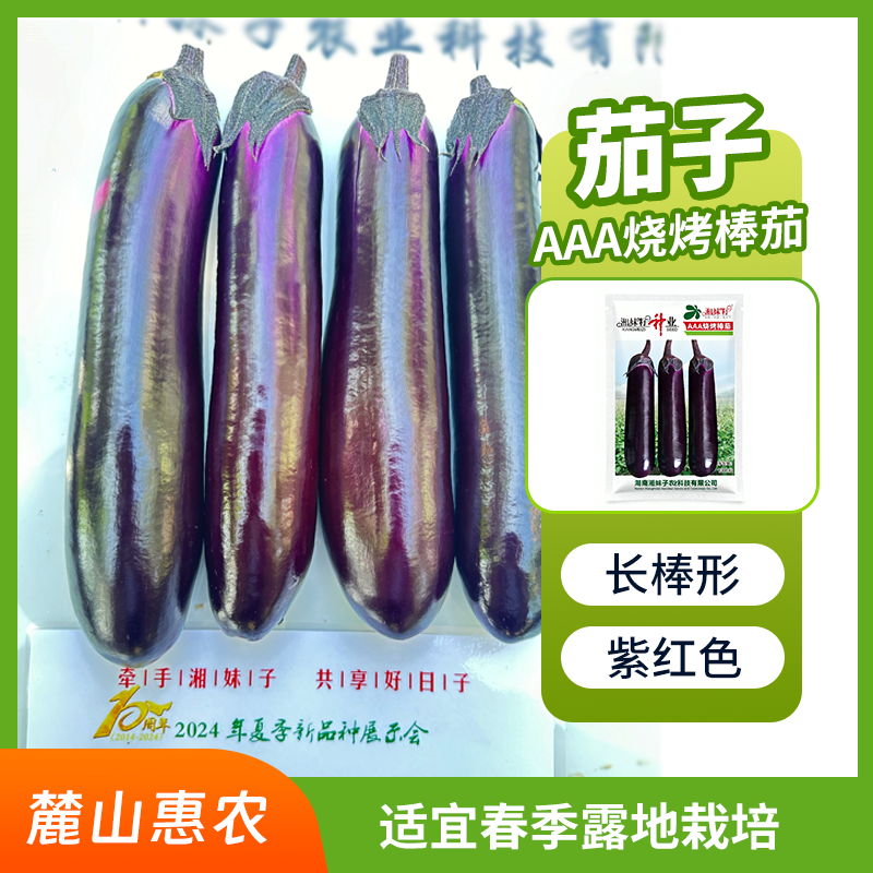 【官方自营】烧烤棒茄子种子紫皮白肉中晚熟商品率好