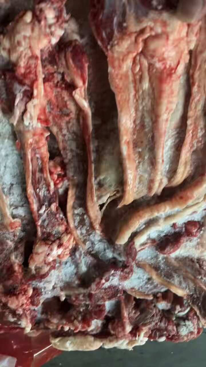 漂亮牛腩带条的