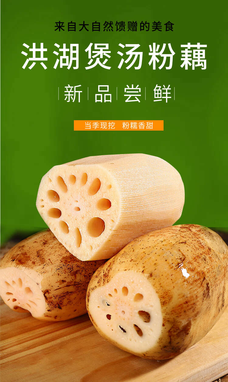 洪湖莲藕 煲汤粉藕，供酒店餐饮市场