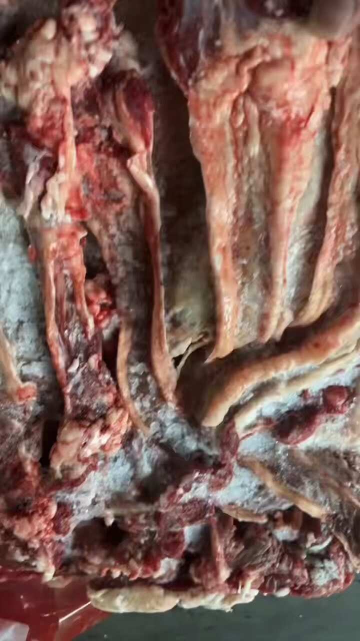 漂亮牛腩带条的