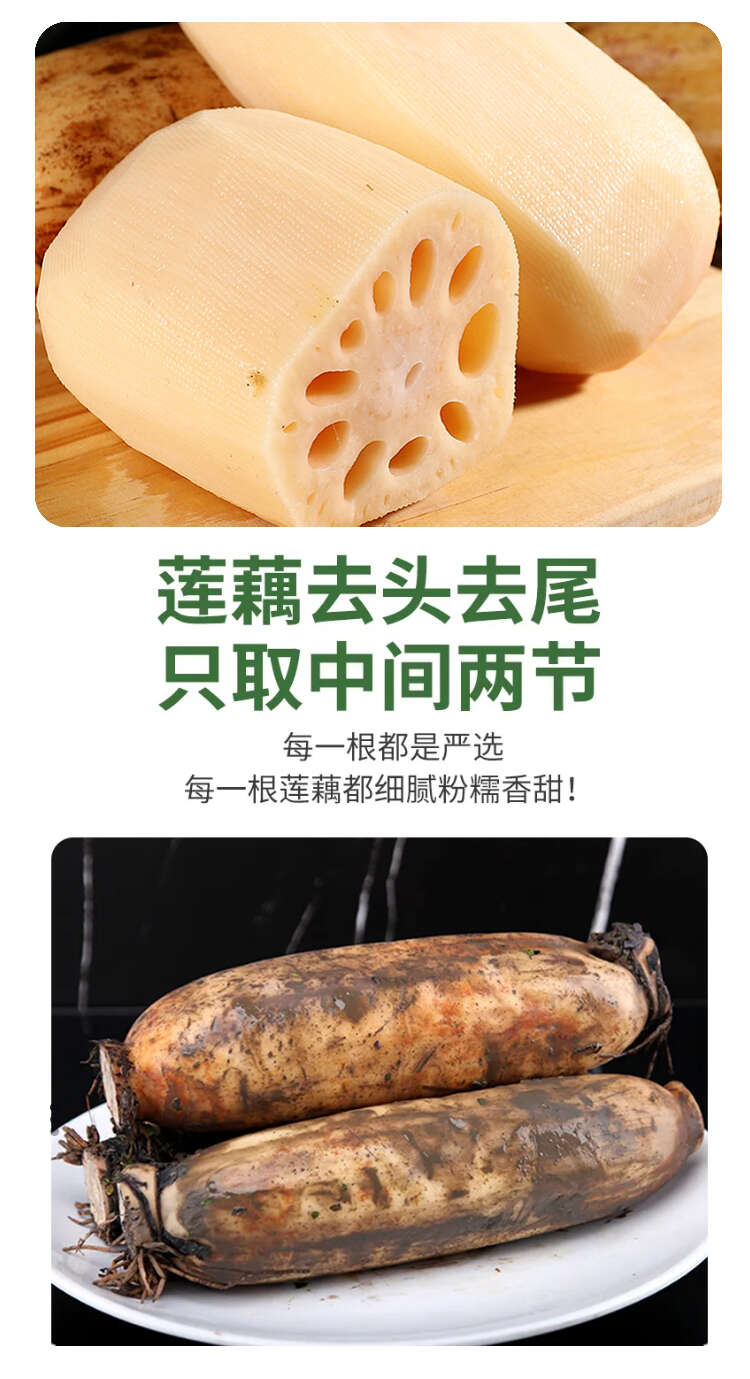 洪湖莲藕 煲汤粉藕，供酒店餐饮市场