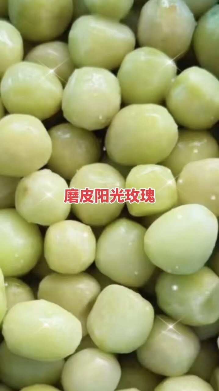 磨皮阳光玫瑰-又大又甜