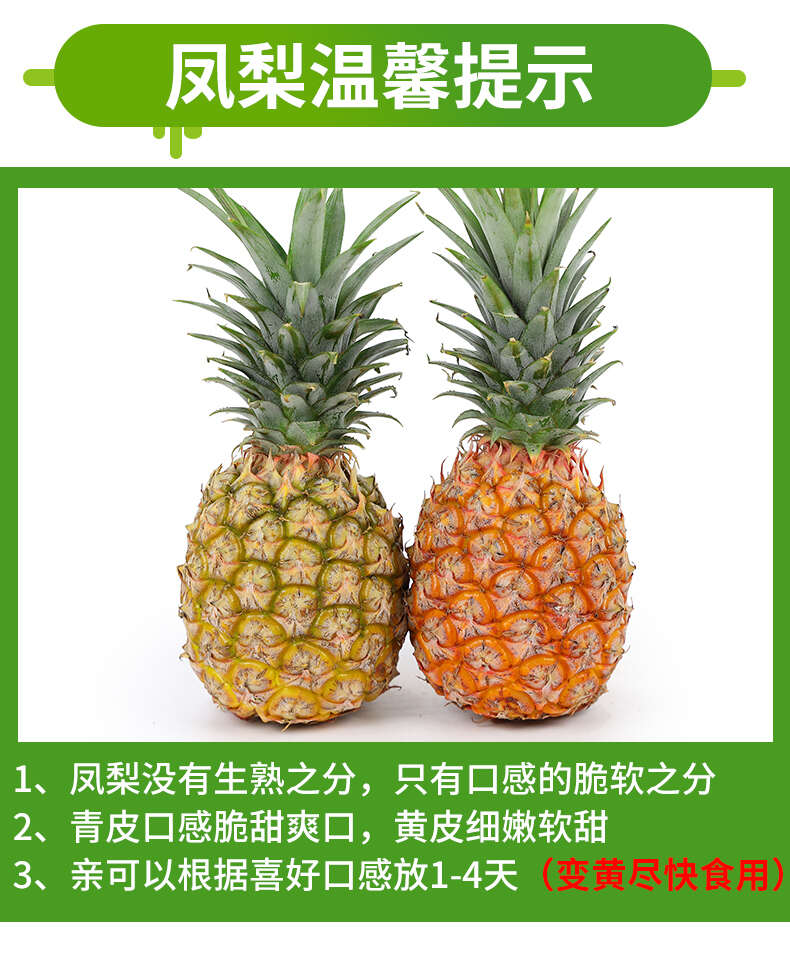 现货一件代发海南金钻凤梨非菠萝供电商平台当季新鲜现摘热带水果 现货一件代发海南金钻凤梨非菠萝供电商平台当季新鲜现摘热带水果