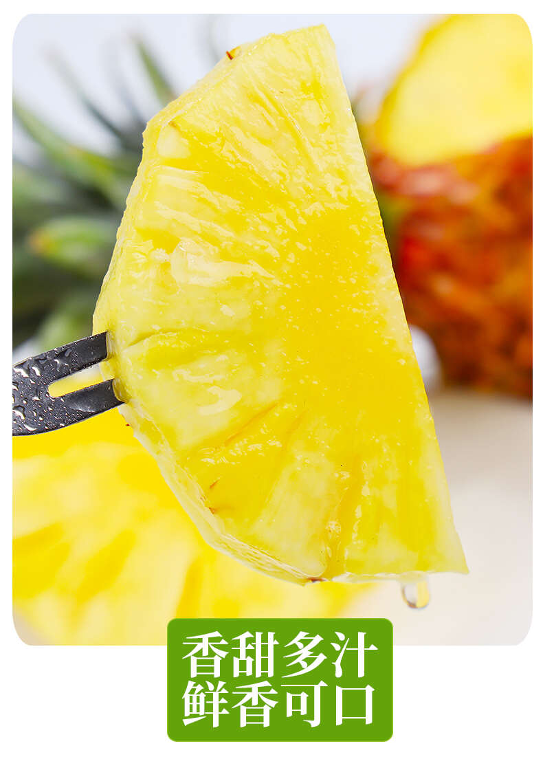 一件代发海南金钻凤梨非菠萝供应电商各大平台支持全平台出单号 一件代发海南金钻凤梨非菠萝供应电商各大平台支持全平台出单号