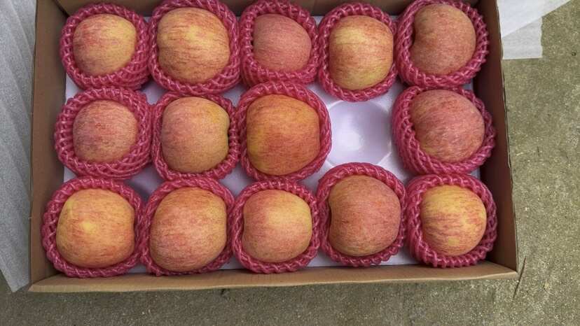 山东烟台爱妃苹果，实拍实拍实拍