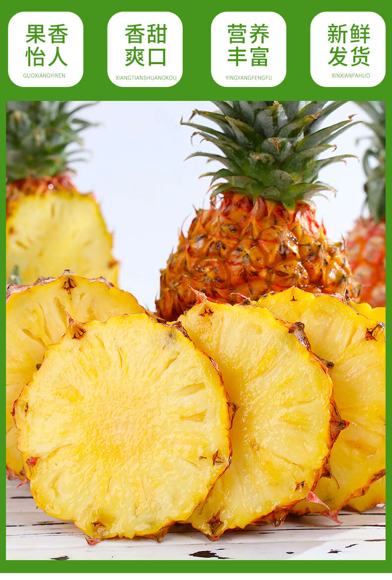 一件代发海南金钻凤梨非菠萝供应电商各大平台支持全平台出单号