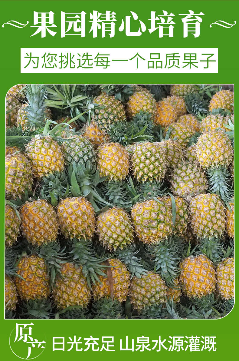 一件代发海南金钻凤梨非菠萝供应电商各大平台支持全平台出单号