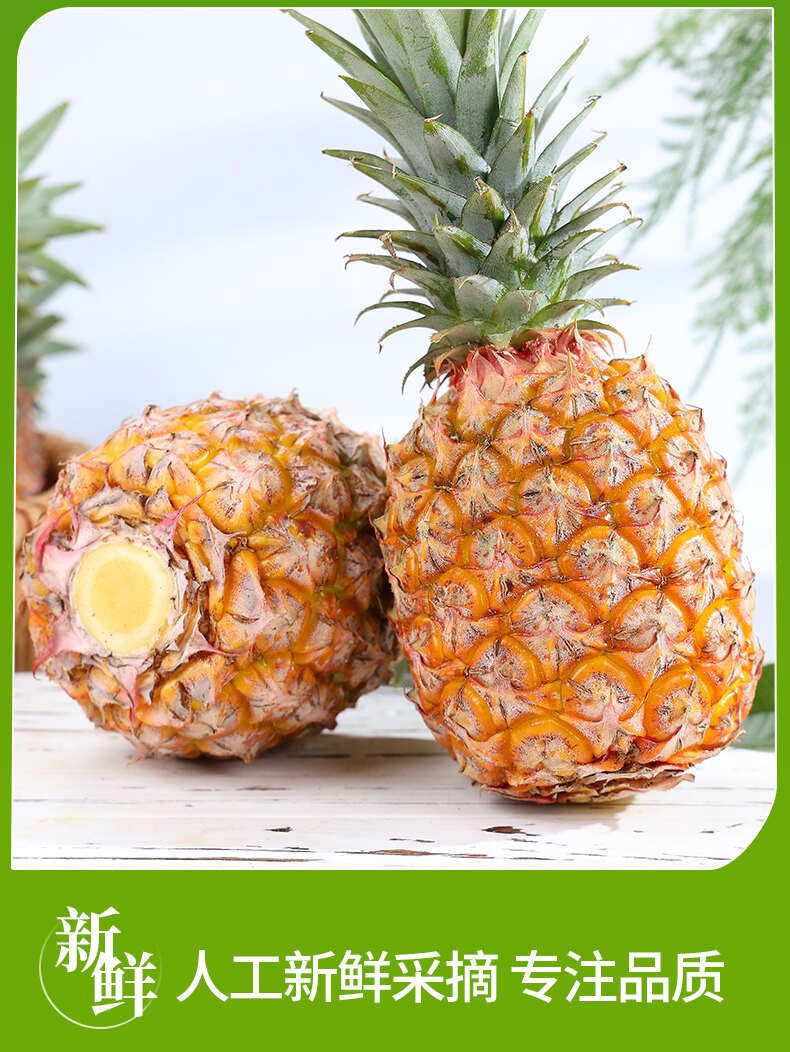 一件代发海南金钻凤梨非菠萝供应电商各大平台支持全平台出单号