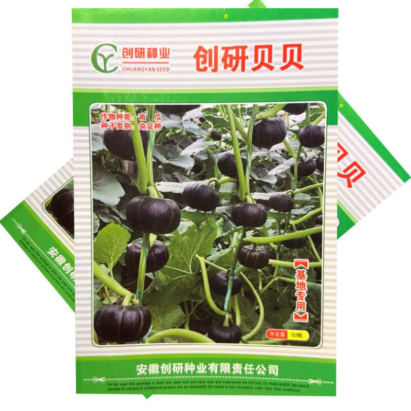 创研贝贝南瓜种子早熟迷你贝贝南瓜种籽肉厚腔小味甜基地种植