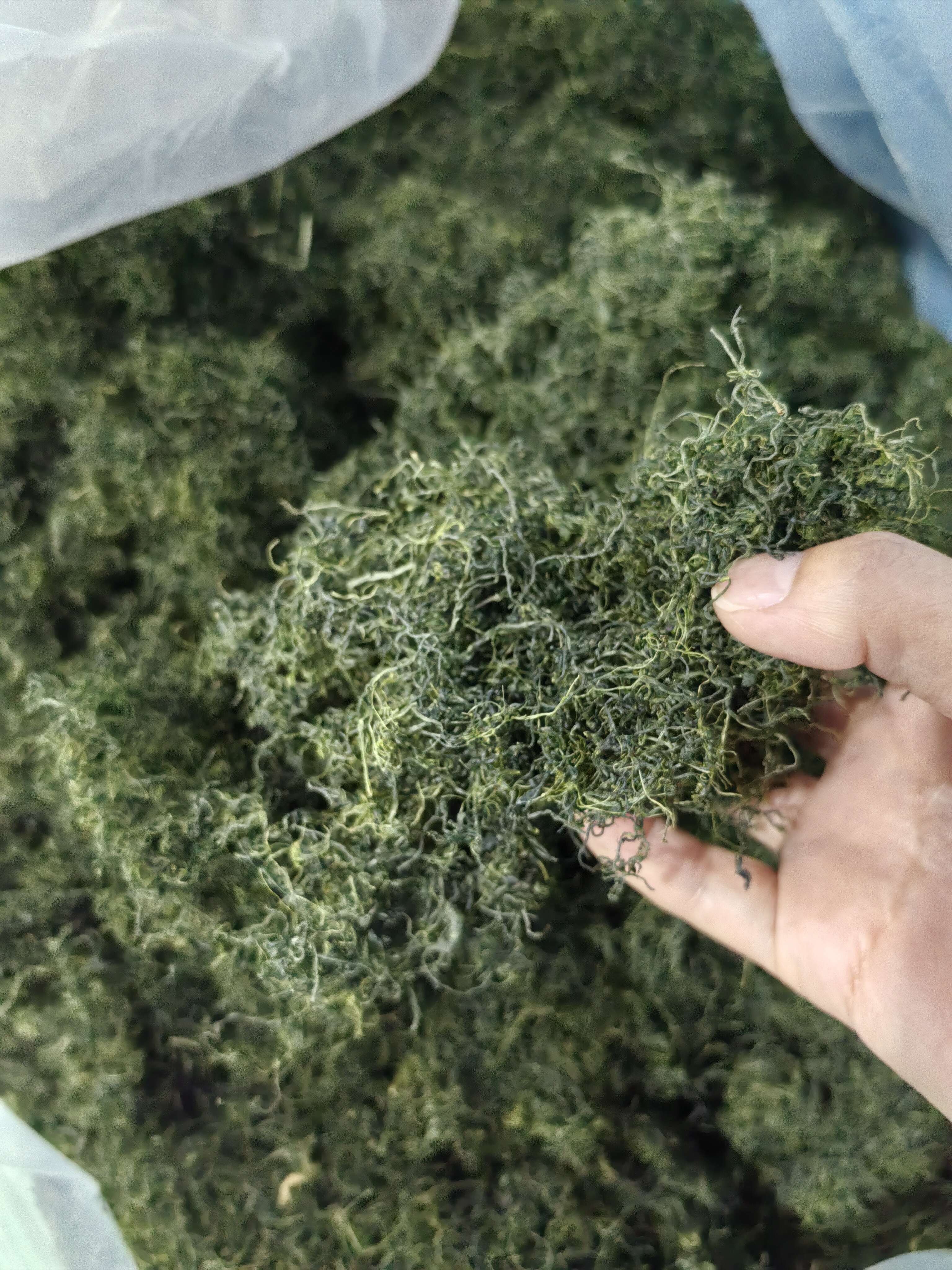 平利绞股蓝龙须茶统货（有机种植）