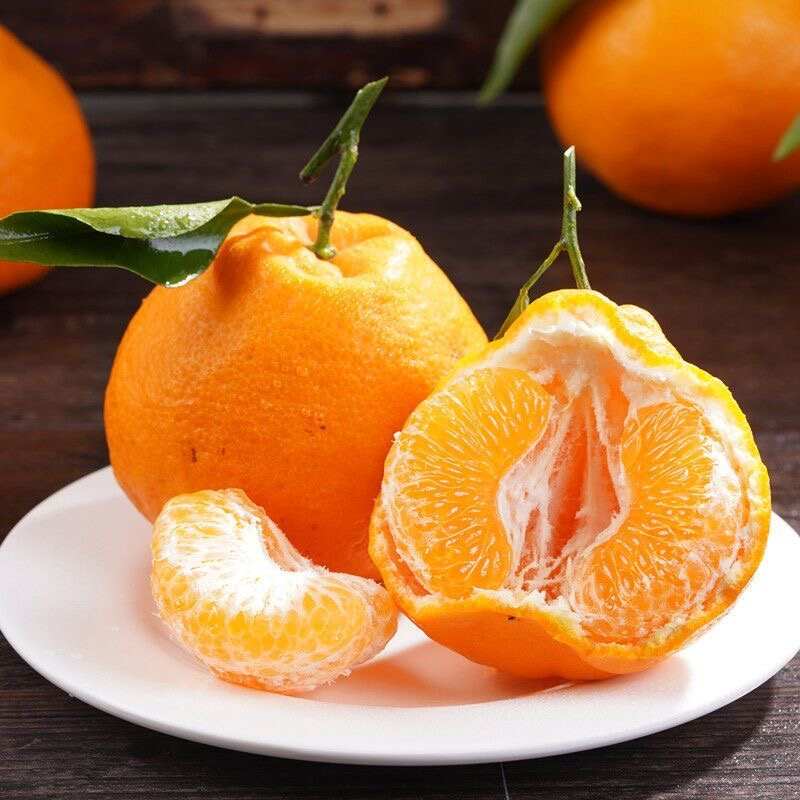 四川耙耙柑 清甜化渣 果肉细腻皮薄如纸 一剥就开 清甜爽