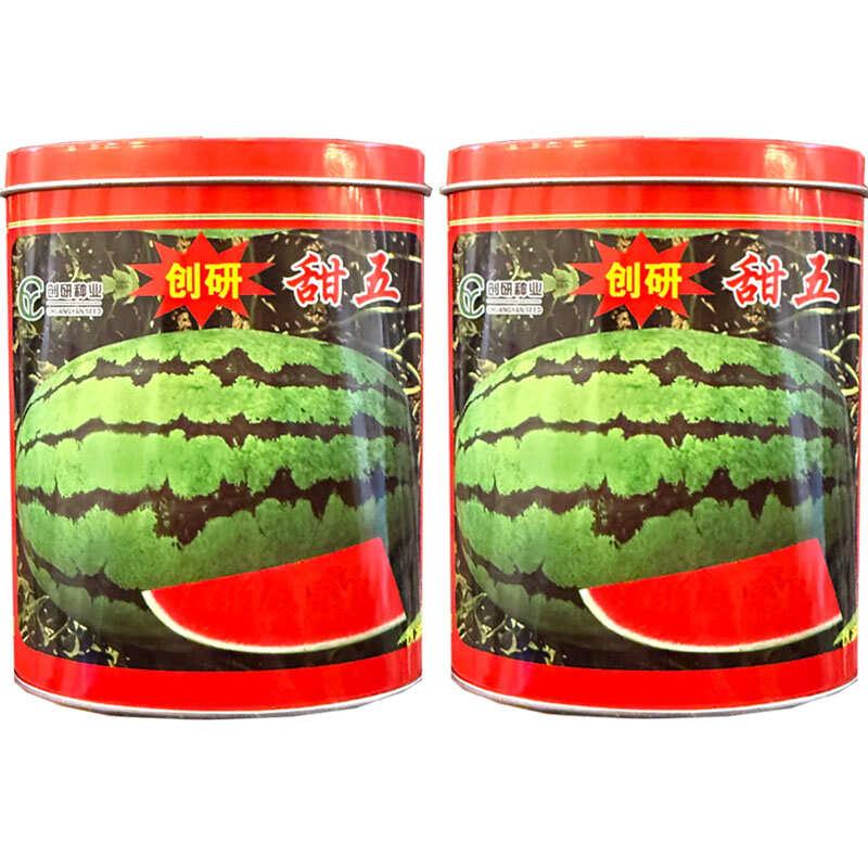 创研甜王西瓜种子中早熟杂交西瓜种籽抗病耐重茬少籽基地种植