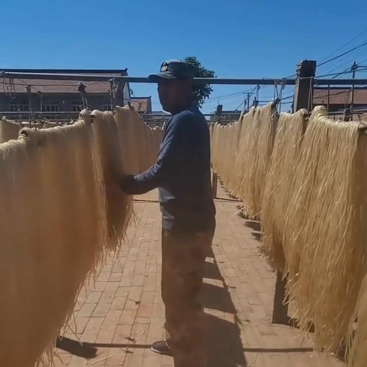 源头厂家订做粉条，量大优惠