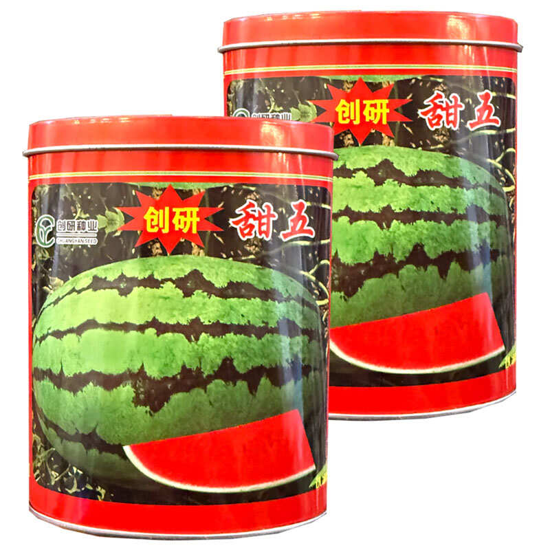 创研甜王西瓜种子中早熟杂交西瓜种籽抗病耐重茬少籽基地种植