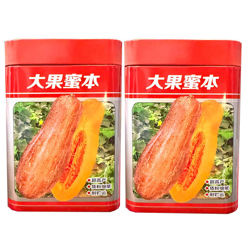 大果蜜本南瓜种子易坐果质粉细腻糖分高腊粉重耐贮运